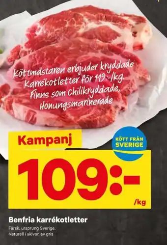 City Gross Benfria karrékotletter erbjuda
