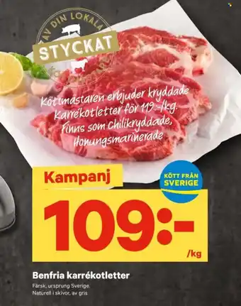 City Gross Benfria karrékotletter erbjuda