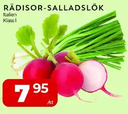 Matrix Butikerna Rädisor-salladslök erbjuda