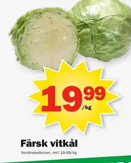 Pekås Färsk vitkål erbjuda