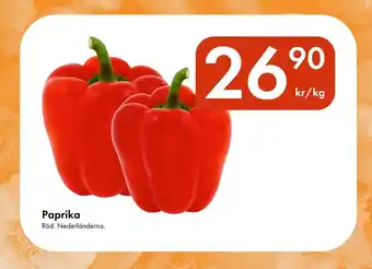 Snabbgross Paprika erbjuda