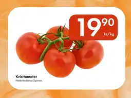 Snabbgross Kvisttomater erbjuda