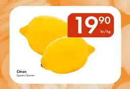 Snabbgross Citron erbjuda