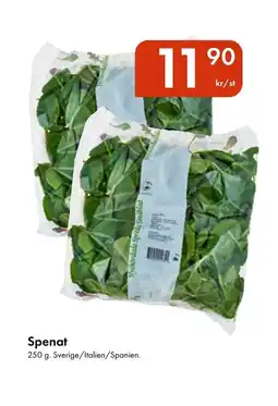 Snabbgross Spenat erbjuda