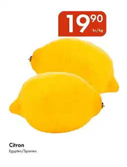 Snabbgross Citron erbjuda