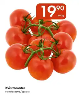 Snabbgross Kvisttomater erbjuda