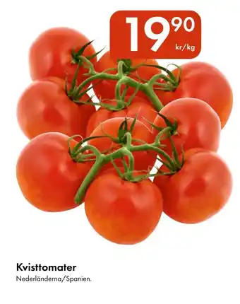 Snabbgross Kvisttomater erbjuda