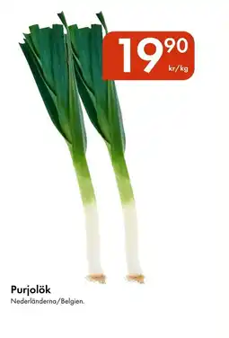 Snabbgross Purjolök erbjuda
