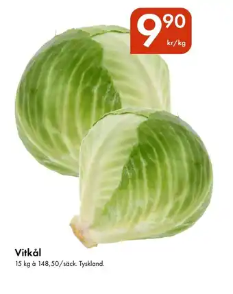 Snabbgross Vitkål erbjuda