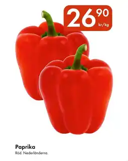 Snabbgross Paprika erbjuda