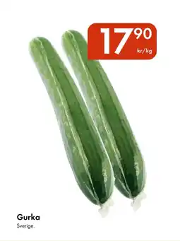 Snabbgross Gurka erbjuda