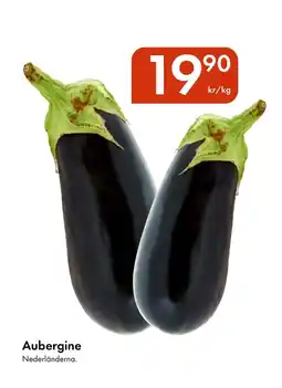 Snabbgross Aubergine erbjuda