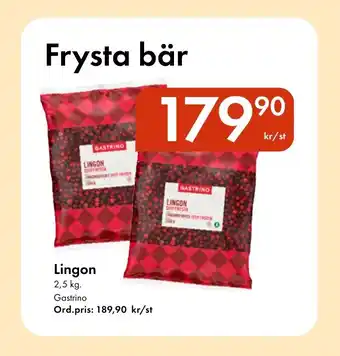Snabbgross GASTRINO Lingon erbjuda