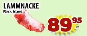 Matvärlden Tensta Lammnacke erbjuda