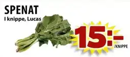 Matvärlden Tensta Spenat erbjuda
