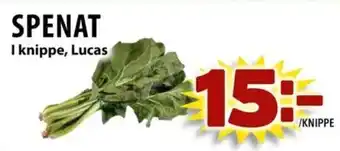 Matvärlden Tensta Spenat erbjuda