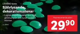 Lidl Självlysande dekorationsstenar erbjuda