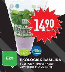 Willys EKOLIGISK BASILIKA erbjuda