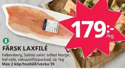 Tempo Färsk laxfilé erbjuda