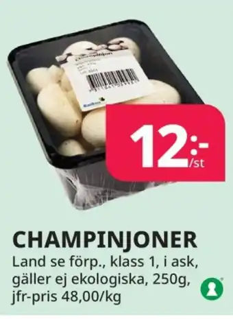 Tempo Champinjoner erbjuda