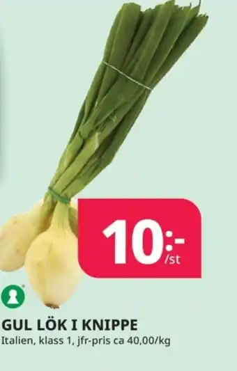 Tempo Gul lök i knippe erbjuda
