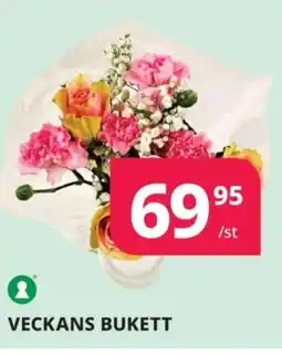 Tempo Veckans bukett erbjuda
