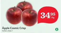 Östenssons Äpple cosmic crisp erbjuda