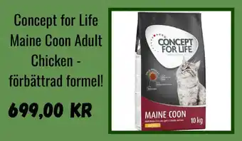 Zooplus CONCEPT FOR LIFE Maine Coon Ad förbättrad formel! ult Chicken - erbjuda