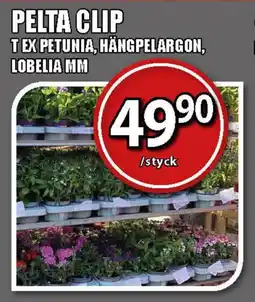 Extra Mjällby Stormarknad Pelta clip erbjuda