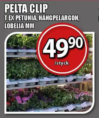 Extra Mjällby Stormarknad Pelta clip erbjuda
