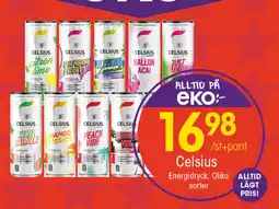 EKO Celsius erbjuda