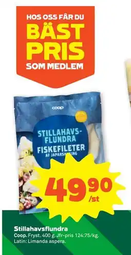 Stora Coop Stillahavsflundra erbjuda