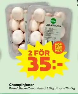 Stora Coop Champinjoner erbjuda