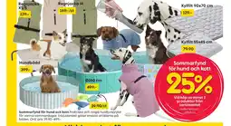 Rusta Sommarfynd för hund och katt erbjuda