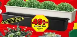 Mycket Mer Blomlada erbjuda
