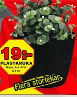 Mycket Mer Plastkruka erbjuda
