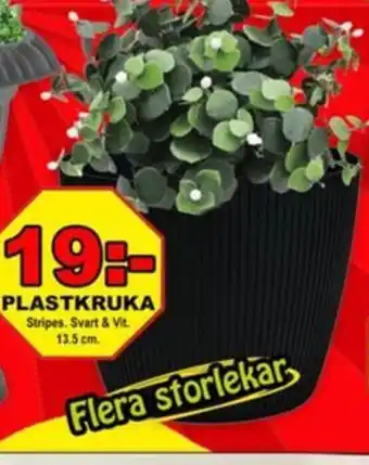 Mycket Mer Plastkruka erbjuda
