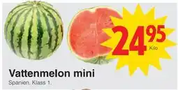 Matöppet Vattenmelon mini erbjuda
