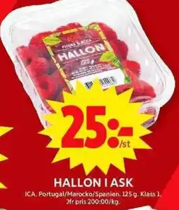 ICA Maxi Hallon i ask erbjuda