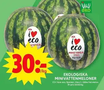 ICA Maxi Ekologiska minivattenmeloner erbjuda