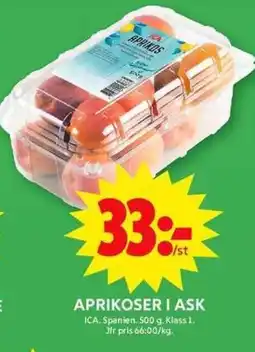 ICA Maxi Aprikoser i ask erbjuda