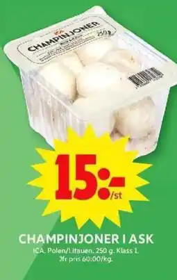 ICA Maxi Champinjoner i ask erbjuda