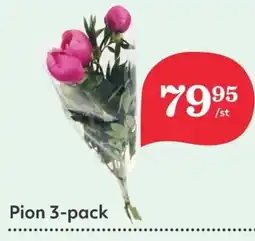 Hemköp Pion 3-pack erbjuda