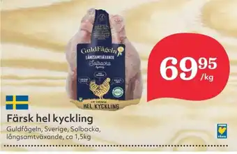 Hemköp Färsk hel kyckling erbjuda