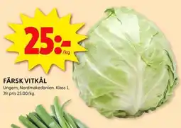ICA Kvantum Färsk vitkål erbjuda