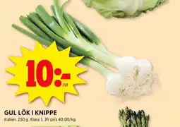 ICA Kvantum Gul lök i knippe erbjuda
