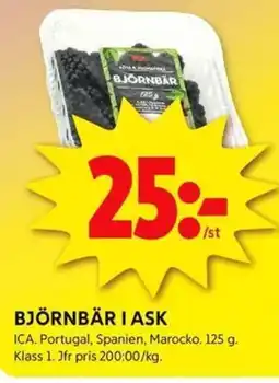 ICA Kvantum ICA Björnbär i ask erbjuda