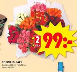 ICA Kvantum Rosor 10-pack erbjuda