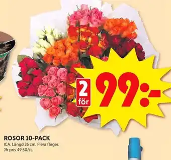 ICA Kvantum Rosor 10-pack erbjuda