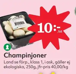 Östenssons Champinjoner erbjuda